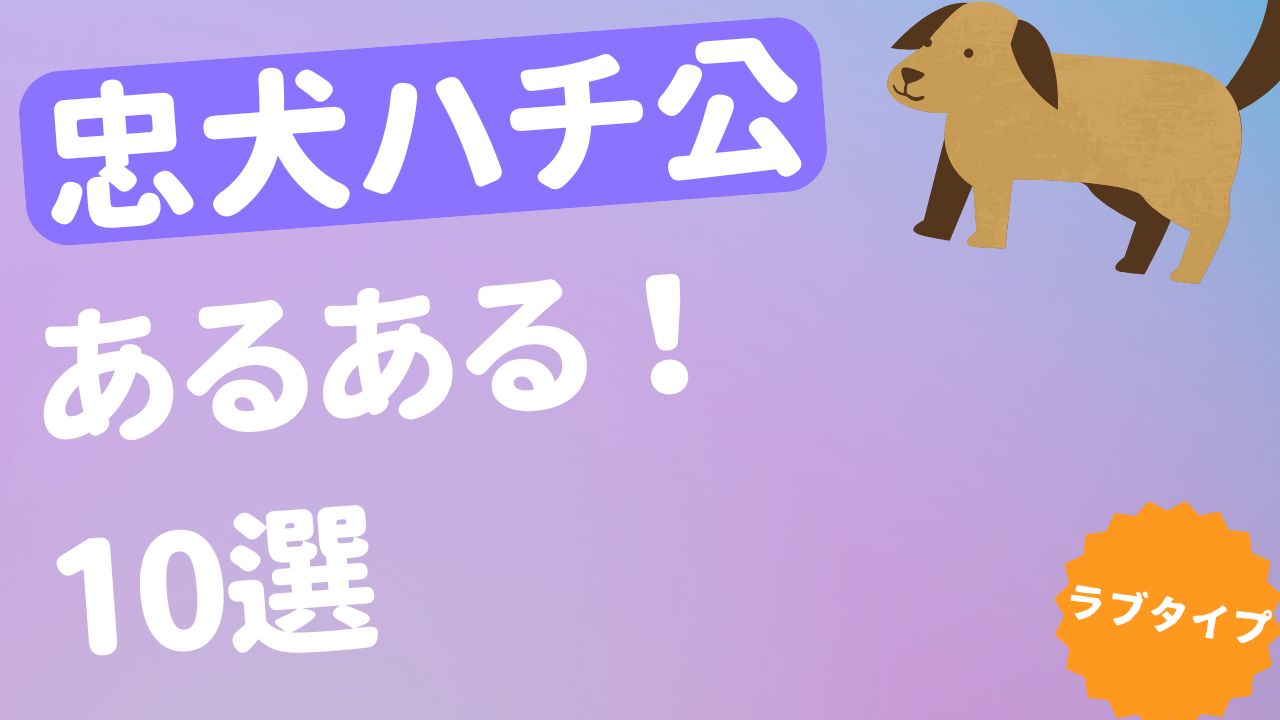 忠犬ハチ公 あるある